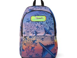 Première Classe, Gradient Sky Travel Bag