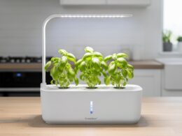 Click & Grow Smart Garden 3