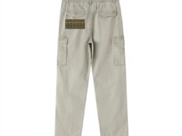 Héron Pantin, Fractal Cargos 3