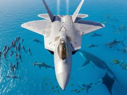 SGN Appraised Art #27514 "Over the Multitude"