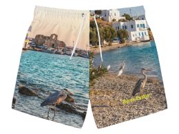Héron Pantin, Beach Scene Swim Trunks