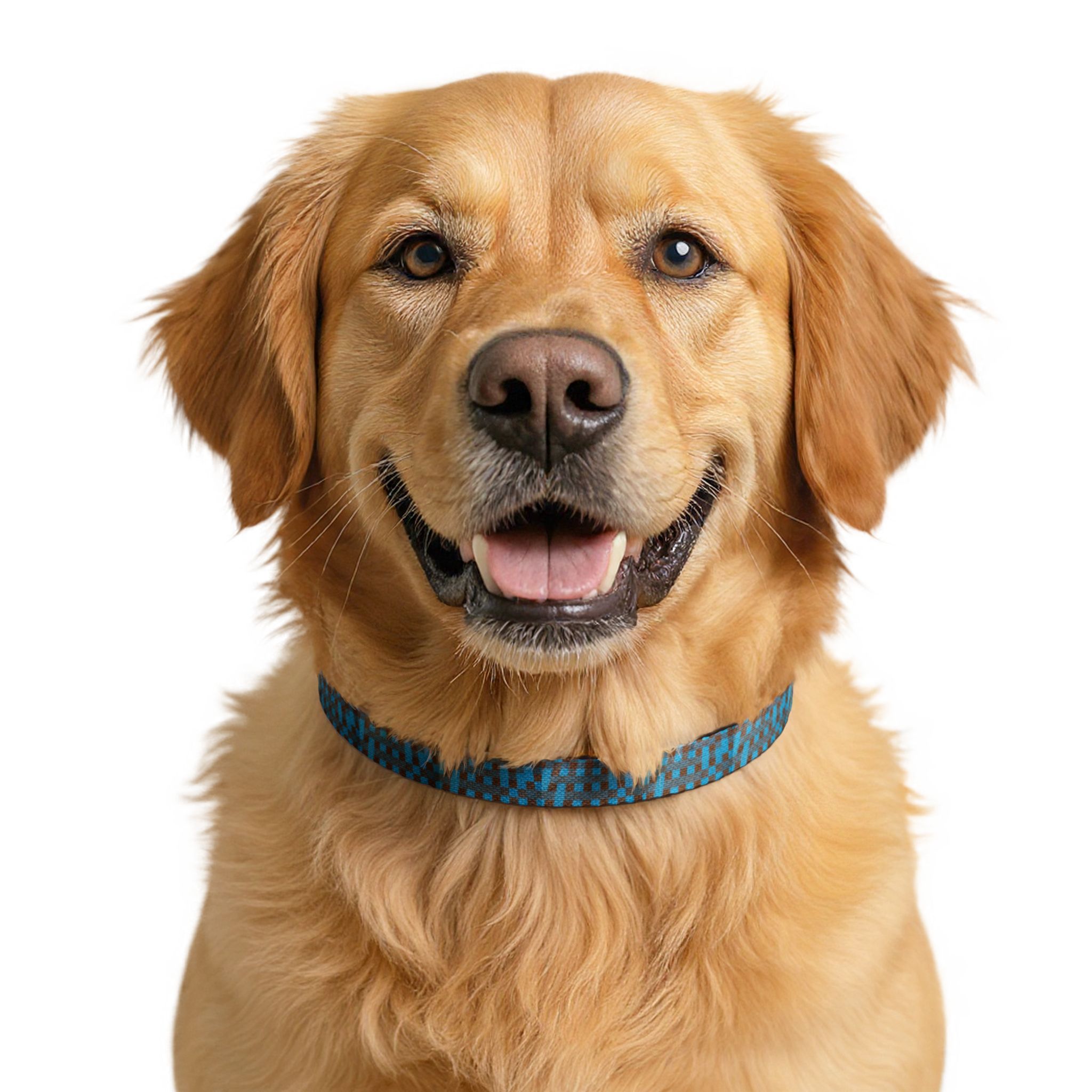Héron Pantin, Blue Checkered Clip-On Pet Collar - Image 4