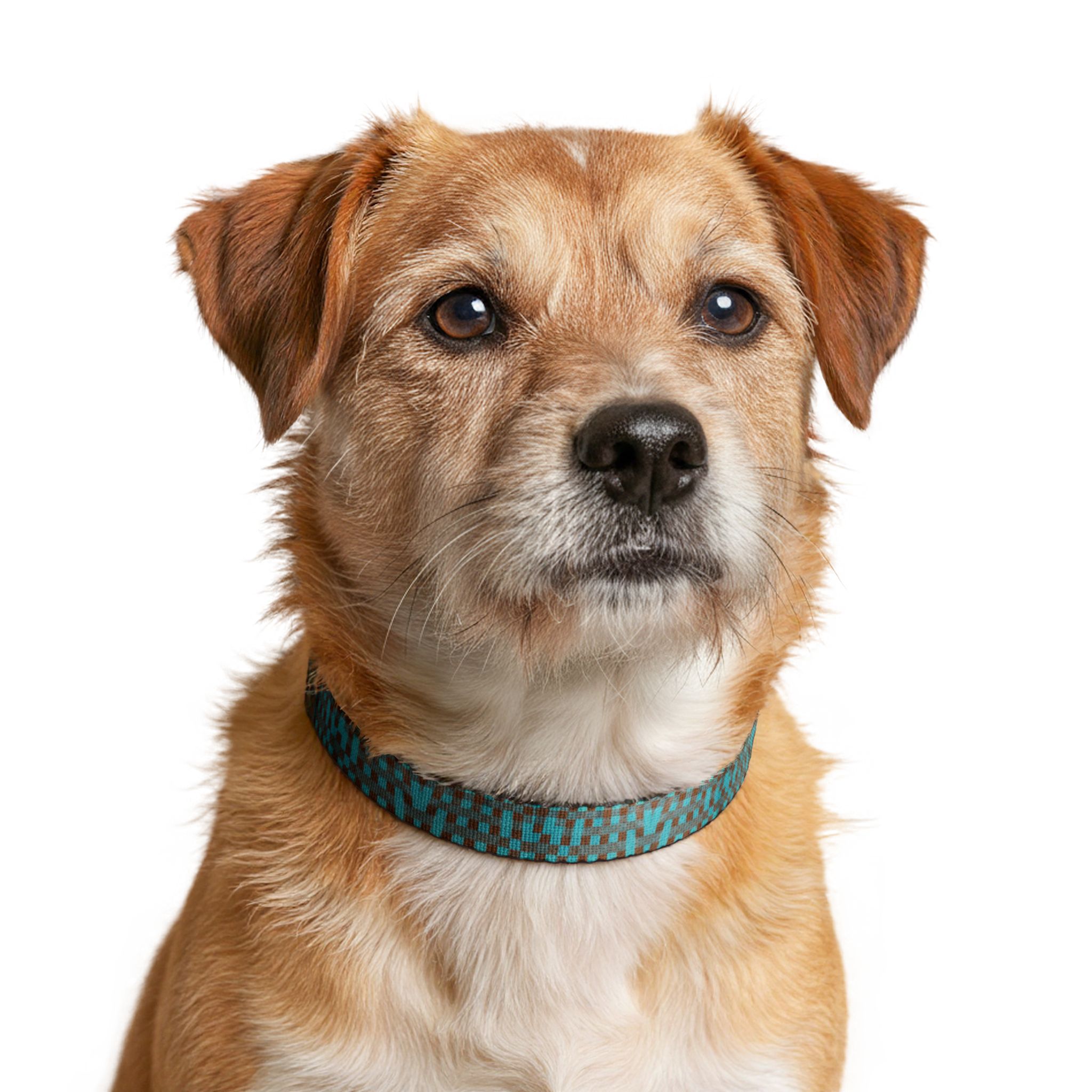 Héron Pantin, Teal Mosaic Clip-On Pet Collar — Adjustable Dog & Cat Collar - Image 2