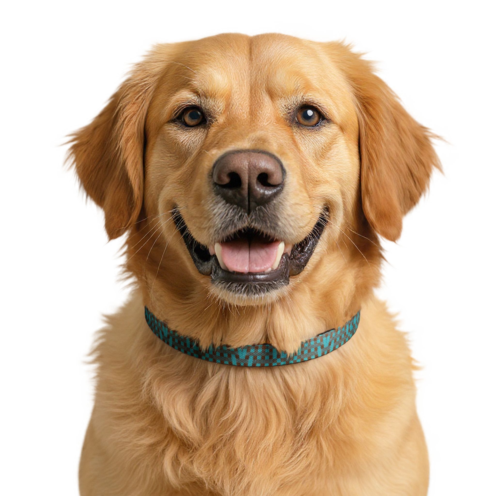 Héron Pantin, Teal Mosaic Clip-On Pet Collar — Adjustable Dog & Cat Collar - Image 4